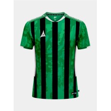 PRO INTENT STRIPE JERSEY (GREEN-BLACK)