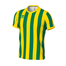 STRIP SHIRT (GREEN-YELLOW)