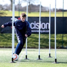 PRECISION BOUNDARY POLES (WHITE)