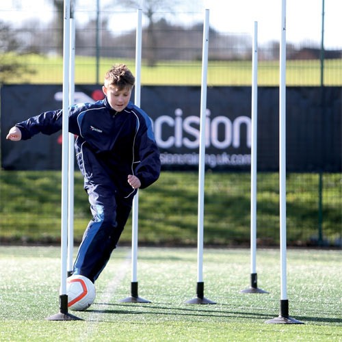 PRECISION BOUNDARY POLES (WHITE)