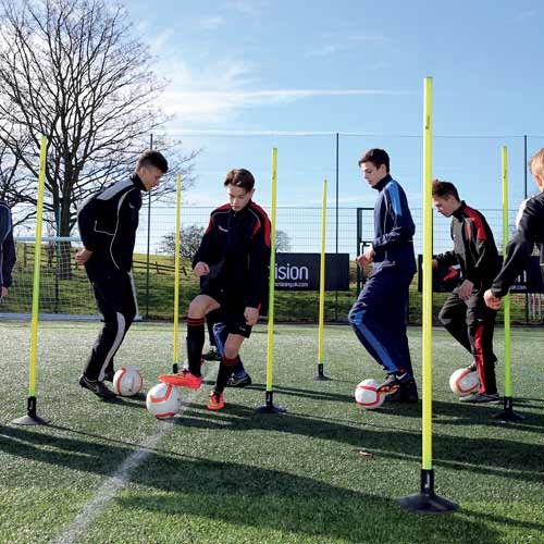 PRECISION BOUNDARY POLES (YELLOW)