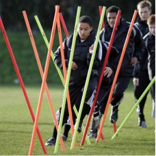 PRECISION BOUNDARY POLES (MULTI)